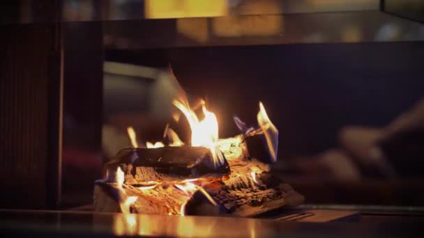 Flame Fireplace Burning Wood — Stock Video