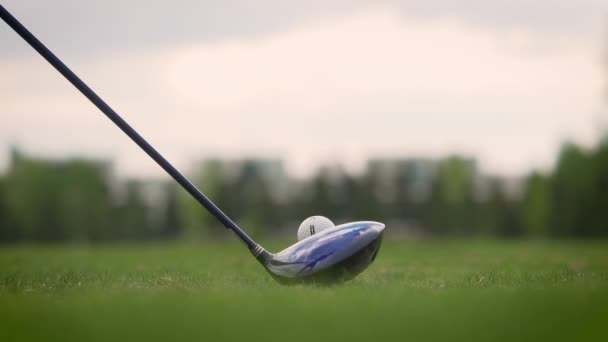 Een Golfbal Slaan Met Een Club Zware Stok Hout Langzame — Stockvideo