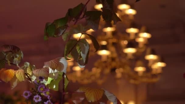Żyrandol Sufit Restauracji Sala Jest Ozdobiona Kwiatami — Wideo stockowe