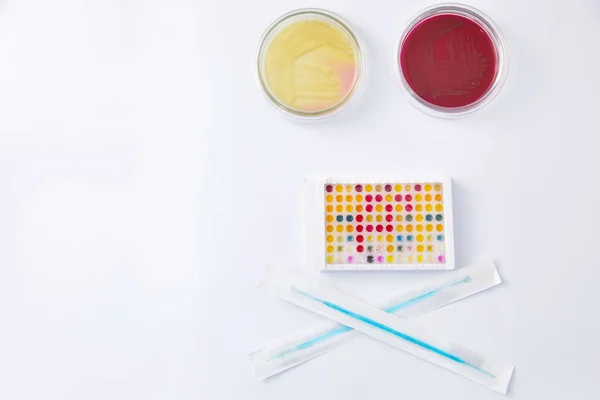 Εργαστήριο Μικροβιολογίας. Πιάτα Petri με διάφορα δείγματα βακτηρίων — Φωτογραφία Αρχείου