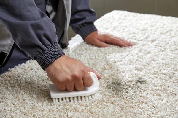 Detergente de pulverización de hombre en alfombra gris para eliminar manchas en el servicio de limpieza profesional —  Fotos de Stock
