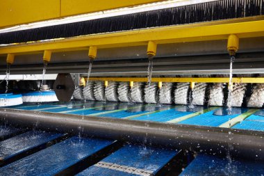 Halı yıkama ve kuru temizleme için otomatik makine ve ekipman.