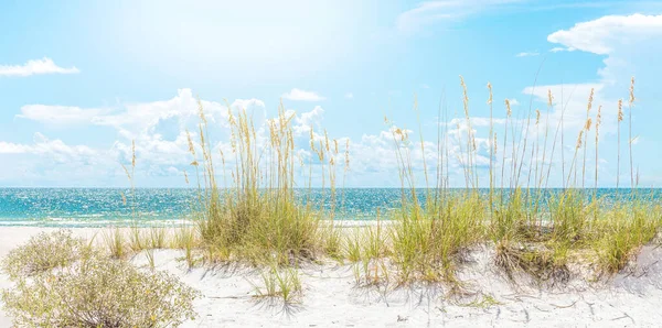 Spiaggia soleggiata con dune di sabbia, erba e cielo blu — Foto Stock