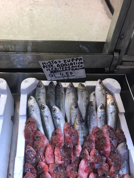 Färsk fisk i låda. Fisk som är klar för försäljning på marknaden — Stockfoto