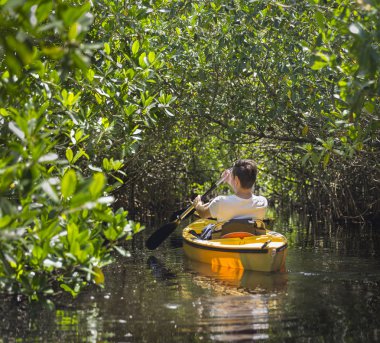 Everglades ulusal park, Florida, ABD'de Kayak