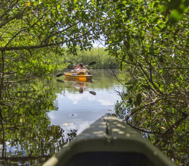 Everglades ulusal park, Florida, ABD'de Kayak