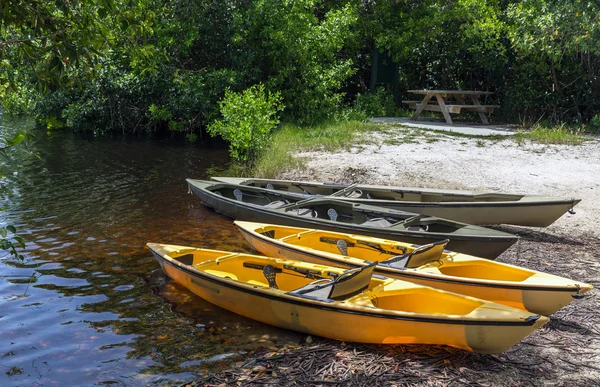 Kajaki do wiosłowania w tunelach mangrowe w Everglades national; p — Zdjęcie stockowe