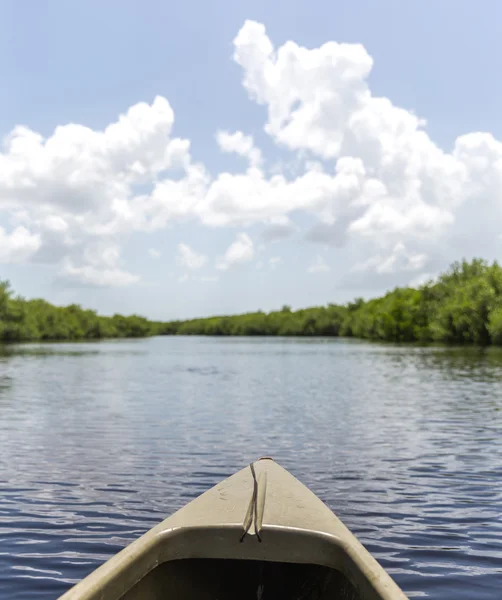 Spływy kajakowe w Everglades national park, Stany Zjednoczone Ameryki — Zdjęcie stockowe