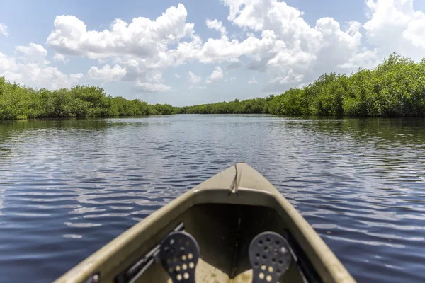 Kajakfahren im Everglades Nationalpark, Vereinigte Staaten — Stockfoto