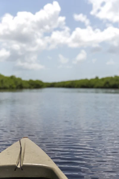 Kajakfahren im Everglades Nationalpark, Vereinigte Staaten — Stockfoto