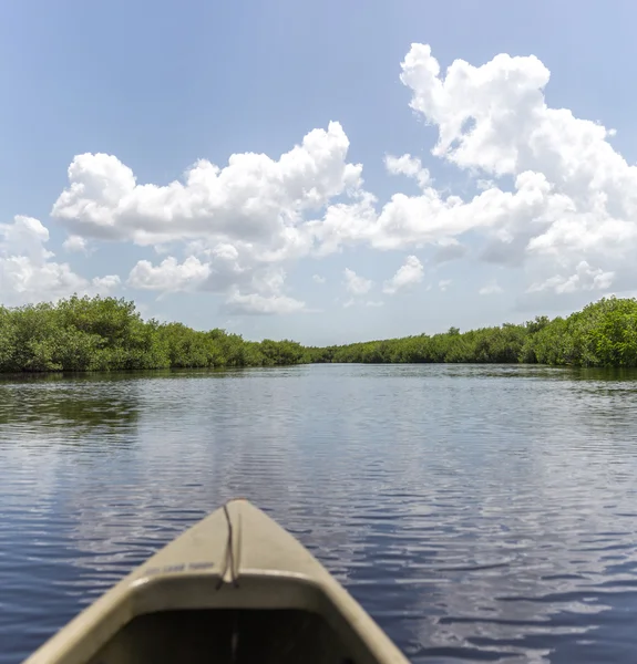 Spływy kajakowe w Everglades national park, Stany Zjednoczone Ameryki — Zdjęcie stockowe