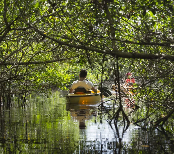 Spływy kajakowe w Everglades National park, Floryda, Usa — Zdjęcie stockowe