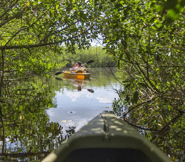 Spływy kajakowe w Everglades National park, Floryda, Usa — Zdjęcie stockowe