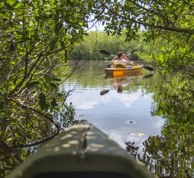 Everglades ulusal park, Florida, ABD'de Kayak