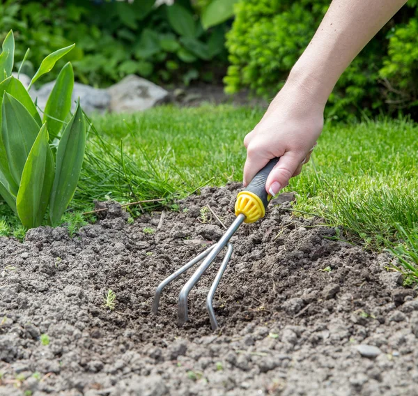 Trädgårdsarbete — Stockfoto