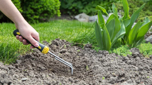 Trädgårdsarbete — Stockfoto