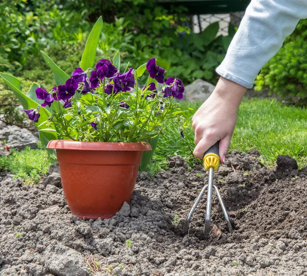 Trädgårdsarbete — Stockfoto