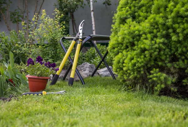 Garden — Stock Photo, Image