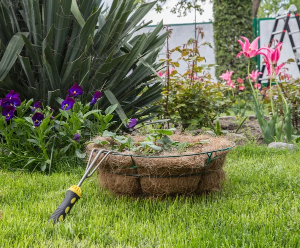 Garden — Stock Photo, Image