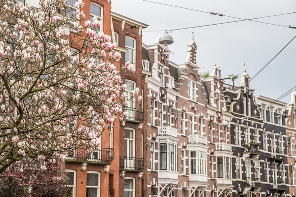 AMSTERDAM, PAÍSES BAJOS - 16 DE MARZO: Calles de la ciudad, en marzo —  Fotos de Stock