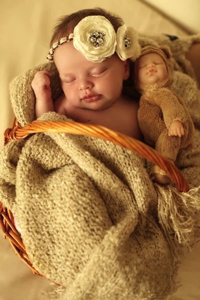 Novorozená holčička Šípková v útulnou deku v koši — Stock fotografie