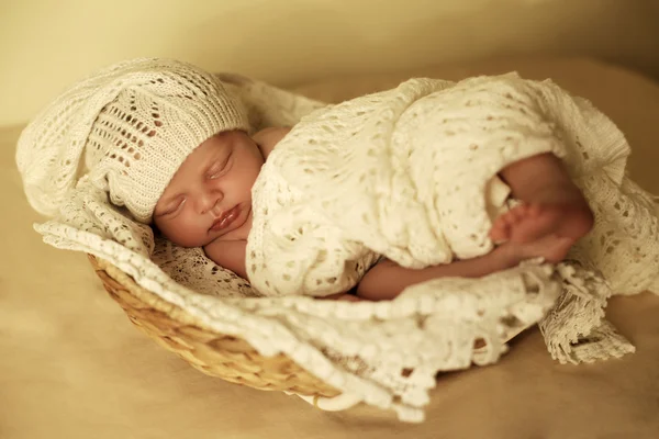 Novorozená holčička Šípková v útulnou deku v koši — Stock fotografie