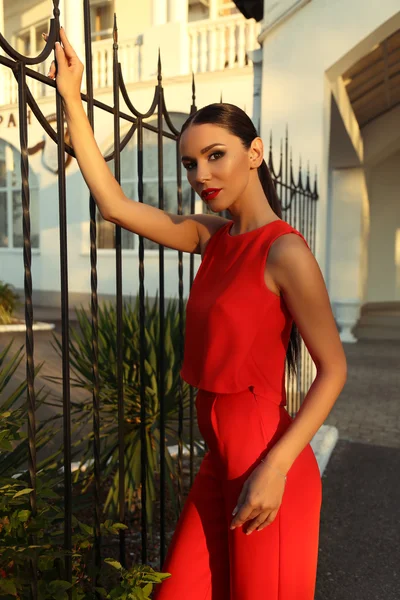 Mulher bonita com cabelo escuro em roupas elegantes — Fotografia de Stock