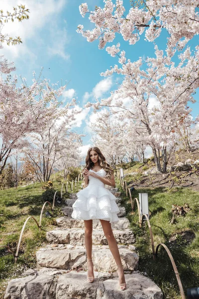 Photo Mode Plein Air Belle Femme Aux Cheveux Foncés Dans — Photo