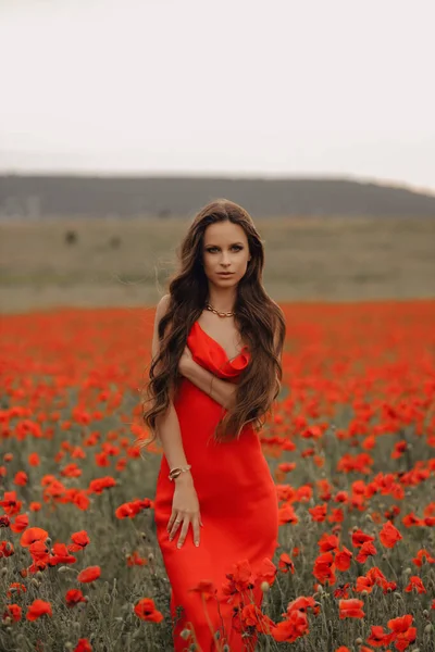Fashion Outdoor Photo Beautiful Woman Dark Hair Elegant Red Dress — Stock Photo, Image