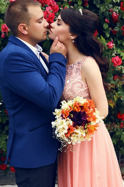Svatební fotografie krásných nabídek páru — Stock fotografie