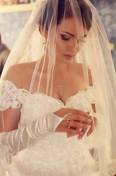 Gorgeous bride in luxurious wedding dress and veil — Stock Photo, Image