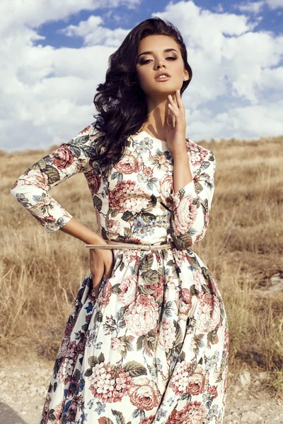 Mulher com cabelo escuro usa luxuoso vestido colorido posando no campo de verão — Fotografia de Stock