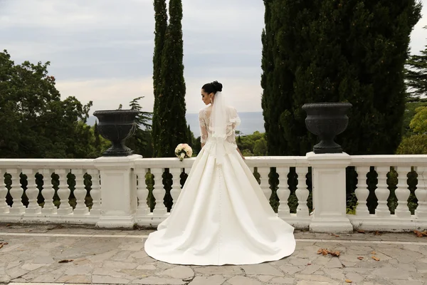 Noiva linda com cabelo escuro usa vestido de noiva elegante — Fotografia de Stock