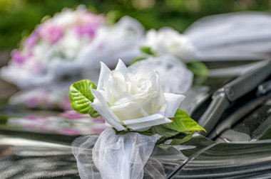 Düğün arabaların renklerde 