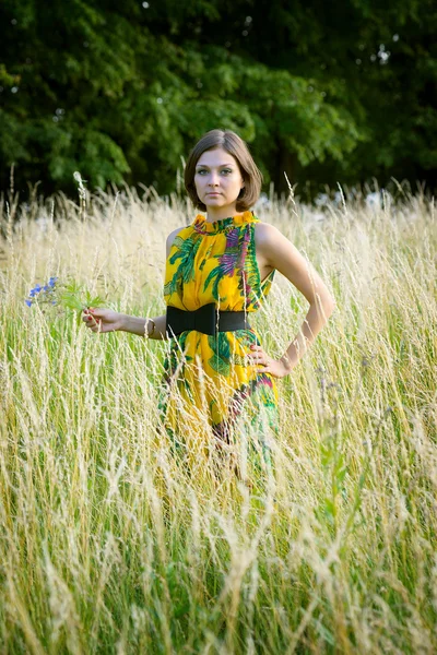 Girl in the grass — Stock Photo, Image