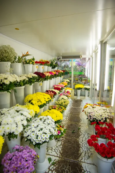 Květinářství, kytice pro každý vkus — Stock fotografie