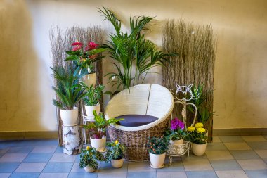 bir çok yararlı ürün mağazaları