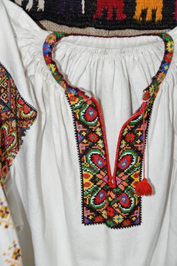  Kadın Ukrayna gömlek boyun nakış