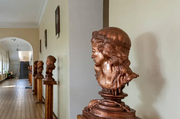 One Busts Decorating Hall National University Ostroh Academy Ukraine — Stock Photo, Image