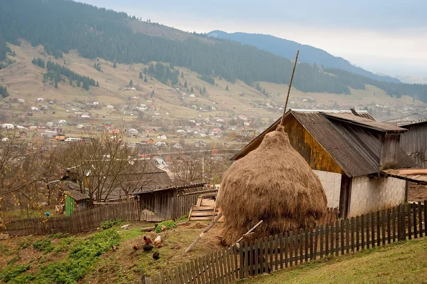 Granja Hutsul Ucraniano Campo Zakarpattia Ucrania — Foto de Stock