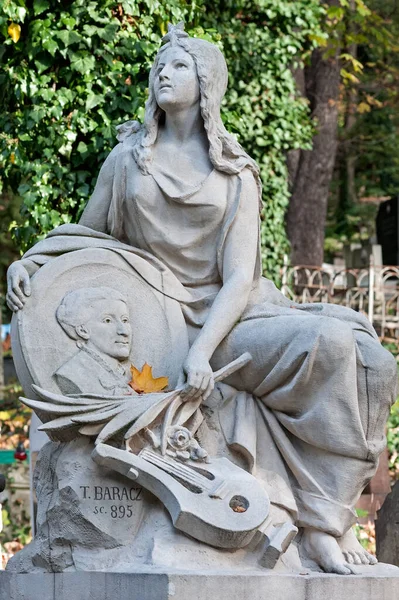 乌克兰利沃夫的Lychakiv墓地 一名妇女与月桂树和荔枝的墓葬雕塑 — 图库照片