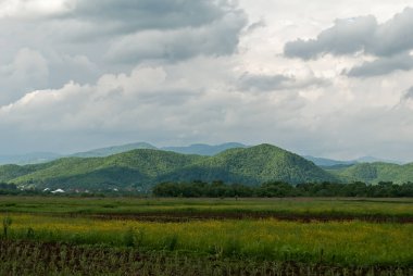Zakarpattia Ukrayna 'da çimen manzarası