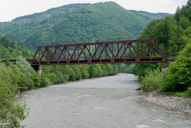 Ukrayna Karpatları 'nda nehir ve demiryolu köprüsü olan bir manzara.