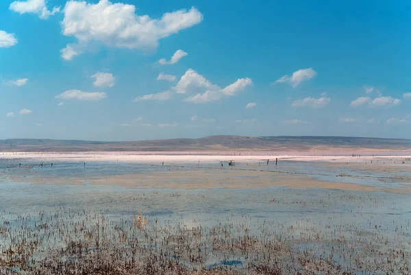 Dramatyczna Panorama Jeziora Solnego Chokrak Ukrainie — Zdjęcie stockowe