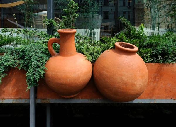 Clay jars between the evergreen plants in pots on window sill