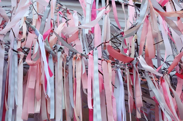 Arcs Colorés Sur Arbre Dans Rue Kiev Ukraine — Photo