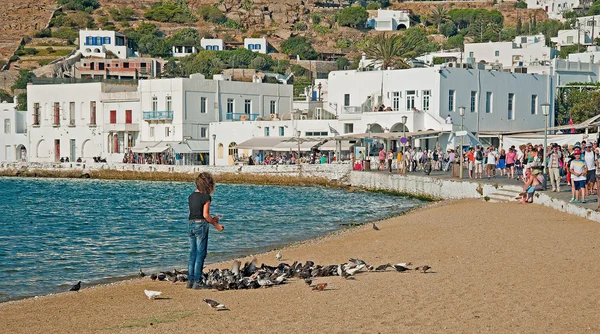 Güvercin, Mykonos, Yunanistan besleme — Stok fotoğraf
