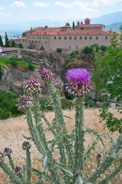 The thistle with monastery at the background in Meteora, Greece — Stock Photo, Image