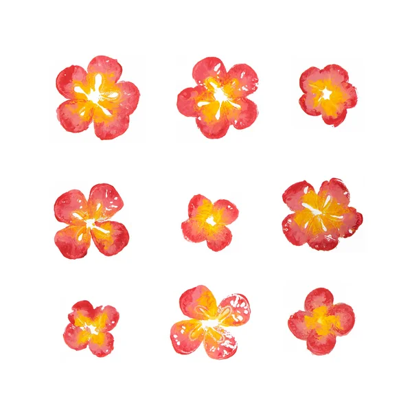 Красивый красный акварель цветы — стоковое фото