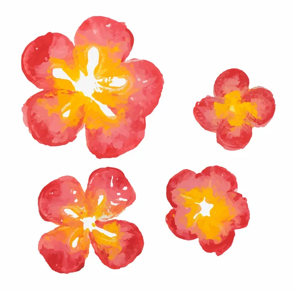 Красивый красный акварель цветы, Вектор — стоковый вектор